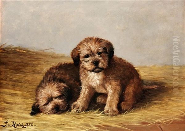 Hundvalpar Oil Painting by Johan-Gustaf von Holst