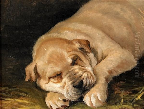 Sovande Hundvalp Oil Painting by Johan-Gustaf von Holst