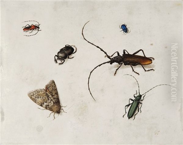 Insektenstudie Oil Painting by Pieter Holsteyn the Elder