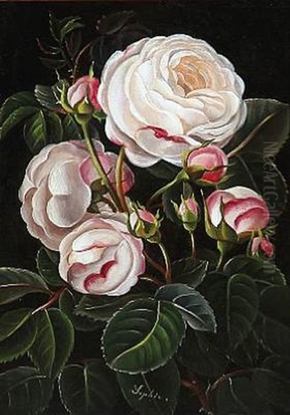 Pink Roses Oil Painting by Sophie Holten