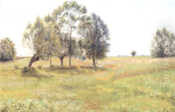 Trees In A Summer Meadow Oil Painting by Nicolaus Lauritz Holten-Lutzhoft