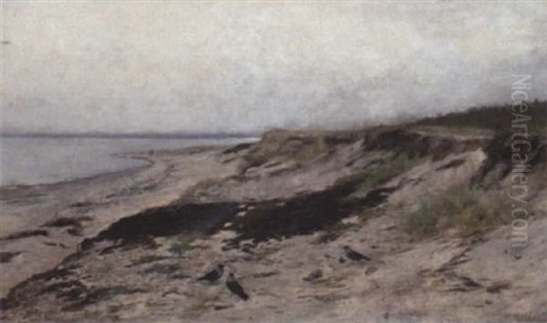 Krager Pa Stranden Oil Painting by Wilhelm Holter