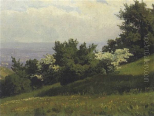 Blick In Eine Weite Landschaft Oil Painting by Georg Holub