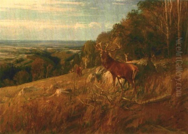 Rotwildrudel Am Waldrand Auf Einer Anhohe Mit Blick Uber Weite Felder Oil Painting by Albert Holz