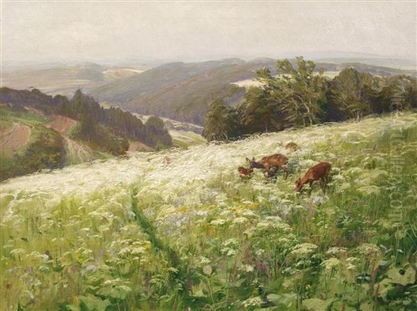 Weite Eifellandschaft Mit Rotwild Auf Der Sommerwiese Oil Painting by Albert Holz