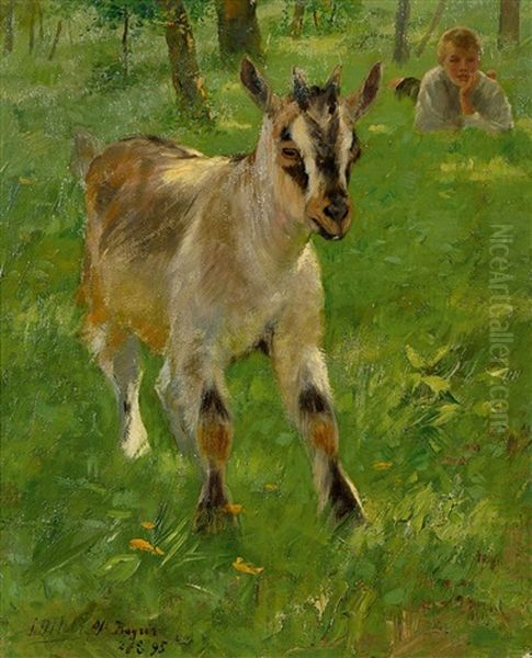 Ziege Und Im Gras Liegender Bub Oil Painting by Johann Daniel Holz