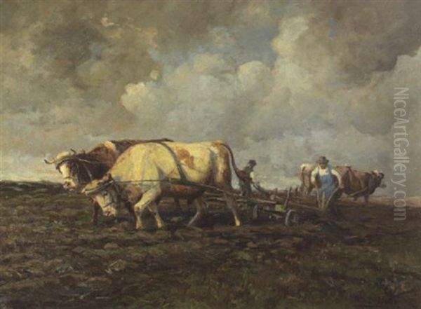 Bauern Mit Ochsengespannen Beim Pflugen Oil Painting by Johann Daniel Holz