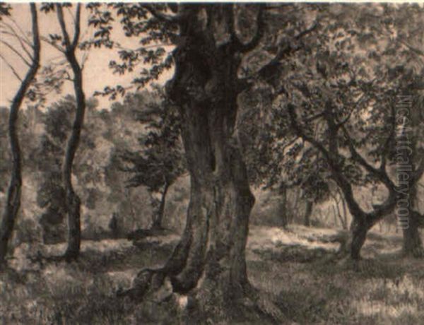 Blick In Einer Waldlichtung Oil Painting by Josef Holzer