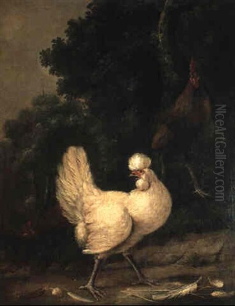 Volatiles Dans Un Paysage Oil Painting by Gillis Claesz De Hondecoeter