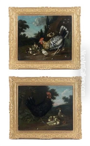 Poules Et Canards (2 Works) Oil Painting by Gysbert Gillisz de Hondecoeter