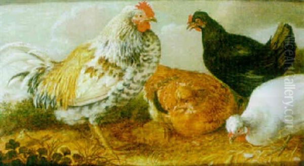 A Cockerel And Chickens In A Landscape Oil Painting by Gysbert Gillisz de Hondecoeter