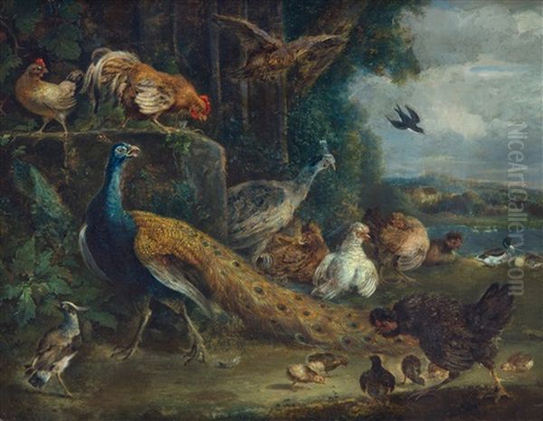 A Peacock, A Peahen, Chickens And Other Birds By A River Oil Painting by Melchior de Hondecoeter