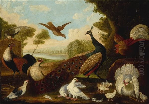 A Peacock, A Cockerel, A Hen And Her Chicks, A Grouse And Other Foul In A Wooded River Landscape Oil Painting by Melchior de Hondecoeter