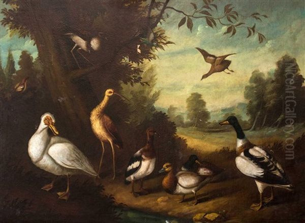 Untitled (water Birds) Oil Painting by Melchior de Hondecoeter