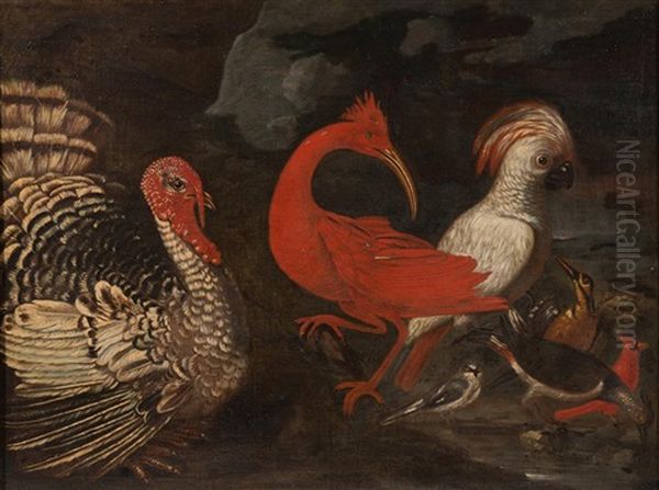 Still Life With Birds Oil Painting by Melchior de Hondecoeter