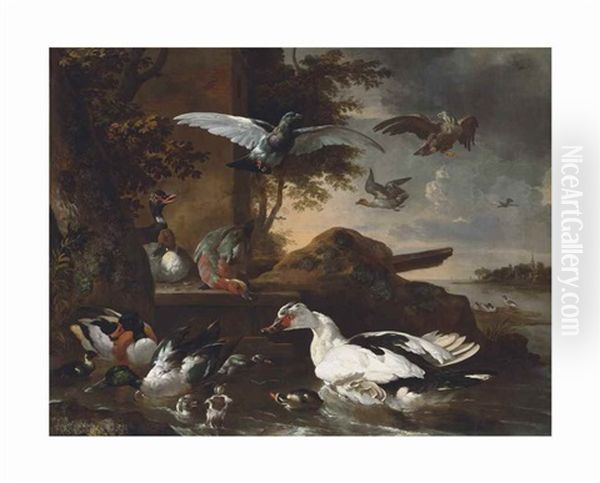 A Shoveler, A Muscovy Duck And Other Birds By A River Oil Painting by Melchior de Hondecoeter