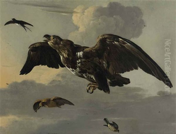 An Eagle, Swallow, Snipe And Finch In Flight Oil Painting by Melchior de Hondecoeter