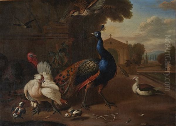 A Peacock, A Turkey, A Chicken And Other Birds In An Ornamental Garden Oil Painting by Melchior de Hondecoeter