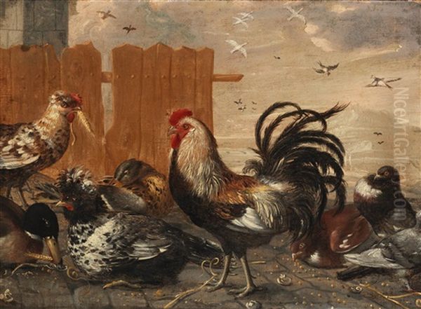 A Chicken Yard Oil Painting by Melchior de Hondecoeter