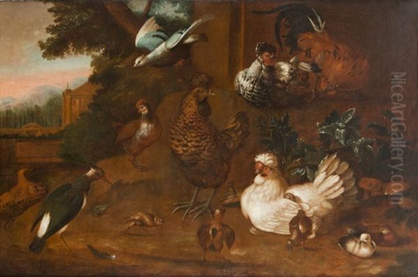 Birds Oil Painting by Melchior de Hondecoeter