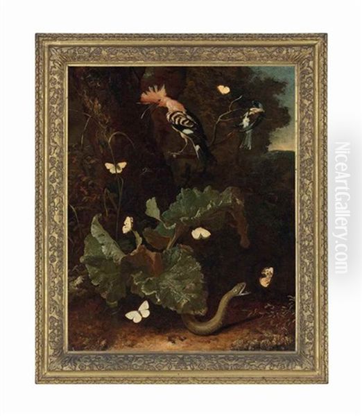 A Forest Floor With A Snake, A Hoopoe And Butterflies Oil Painting by Melchior de Hondecoeter