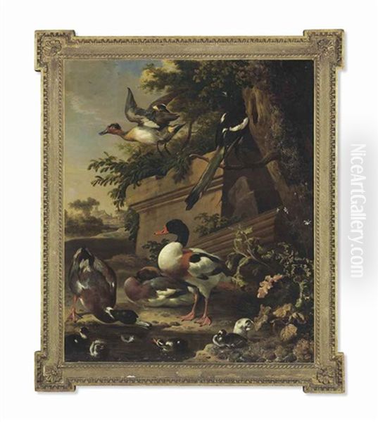 Sheldrake Ducks And Ducklings With A Magpie In A Garden, A Village Beyond Oil Painting by Melchior de Hondecoeter