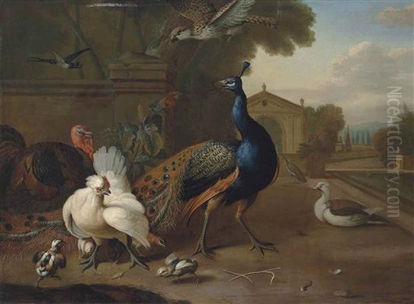 A Peacock, A Turkey, A Chicken And Other Birds In An Ornamental Garden Oil Painting by Melchior de Hondecoeter