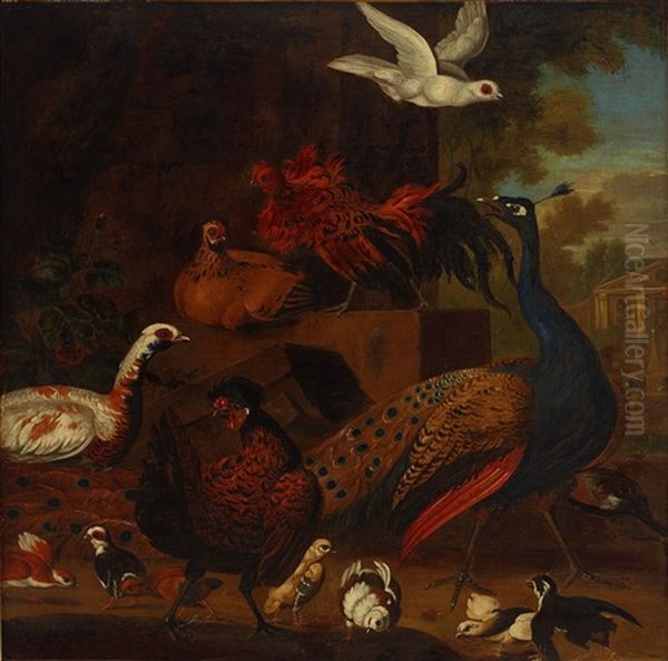 Landskap Med Faglar Oil Painting by Melchior de Hondecoeter