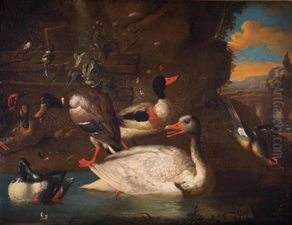 Waterfowl Oil Painting by Melchior de Hondecoeter