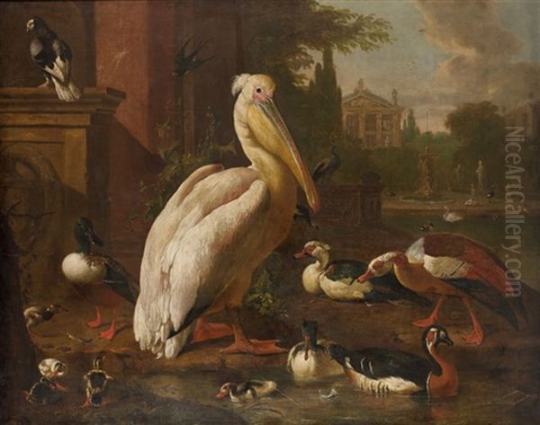 Pelican Et Canards Dans Un Parc Oil Painting by Melchior de Hondecoeter