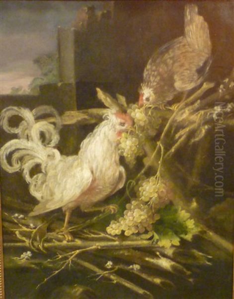 Coq Et Poule Oil Painting by Melchior de Hondecoeter