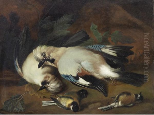 A Still Life Of Dead Birds Oil Painting by Melchior de Hondecoeter