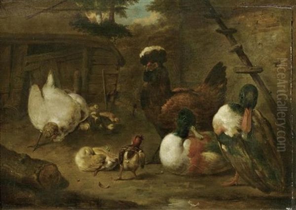 Federvieh Im Stall Oil Painting by Melchior de Hondecoeter