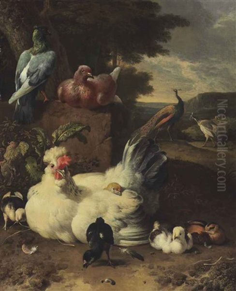 A Hen, Chicks, Doves And Peacocks Beside A Stone Wall In A Landscape Oil Painting by Melchior de Hondecoeter