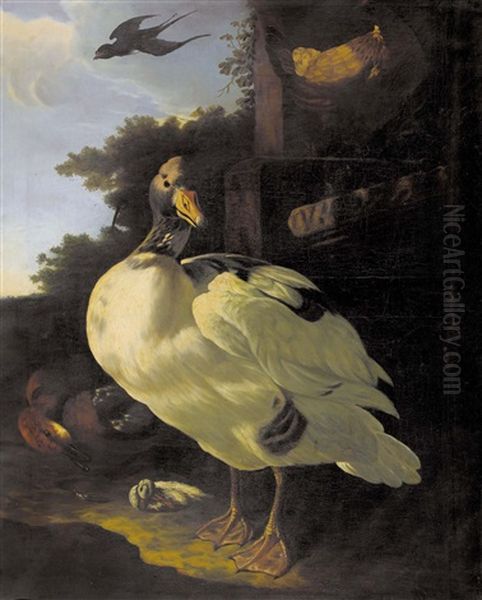 Enten, Huhn Und Schwalbe Vor Gemauer Oil Painting by Melchior de Hondecoeter