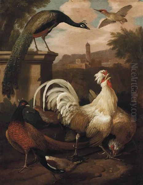 A Cockerel, A Pheasant, A Peacock And Other Birds In A Landscape, A Church Beyond Oil Painting by Melchior de Hondecoeter