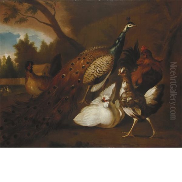 Peacock, Chickens And Other Birds In A Landscape Oil Painting by Melchior de Hondecoeter