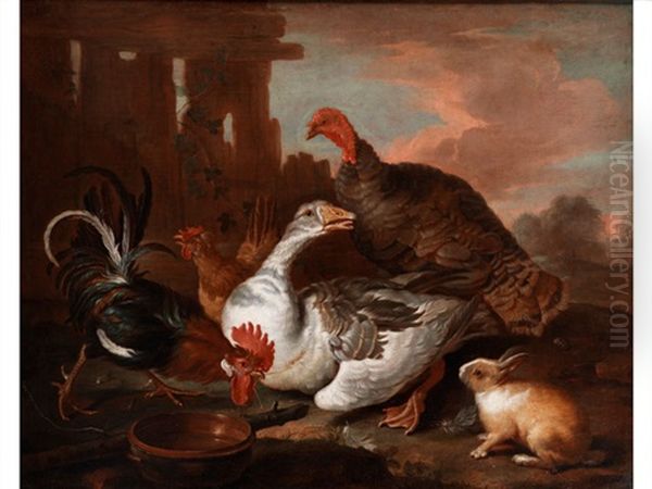 Federvieh Und Kaninchen Oil Painting by Melchior de Hondecoeter