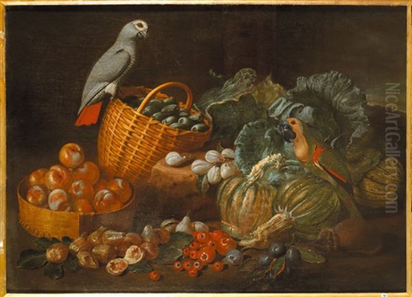 Bodegon Con Papagayos Oil Painting by Melchior de Hondecoeter