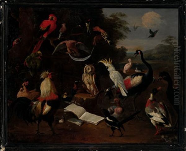 Concietyo De Aves Oil Painting by Melchior de Hondecoeter