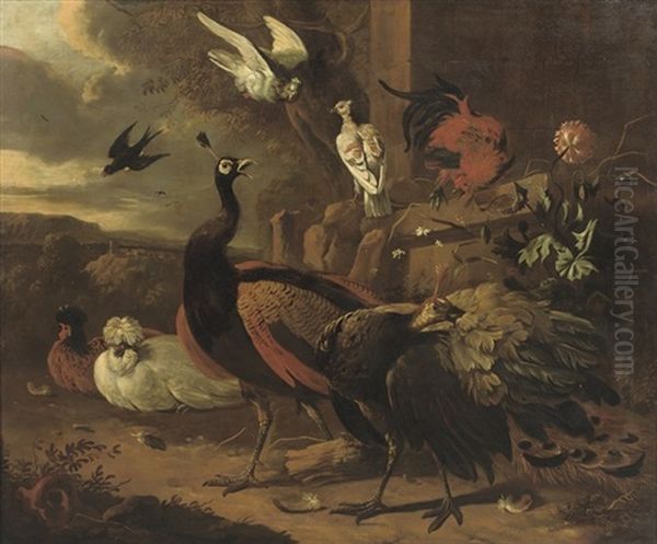 Peacocks, A Rooster, Pigeons And Other Birds Oil Painting by Melchior de Hondecoeter