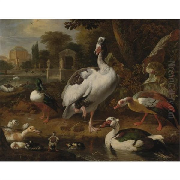 A Shoveler, A Grey And White Crested Goose, An Egyptian Goose, A Muscovy Duck And Other Waterfowl In A Park by Melchior de Hondecoeter