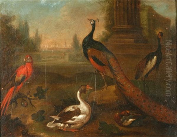 Parklandschaft Mit Federvieh Oil Painting by Melchior de Hondecoeter