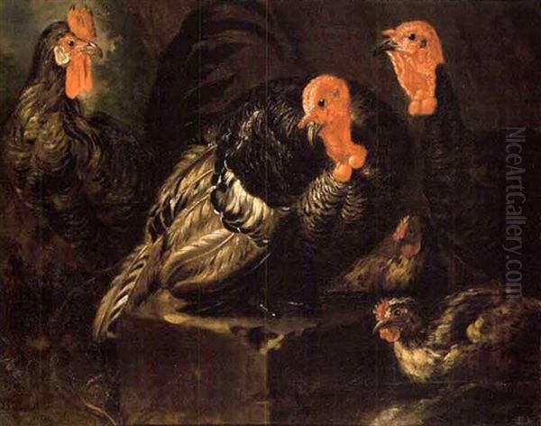 Dindons Et Gallinaces Oil Painting by Melchior de Hondecoeter