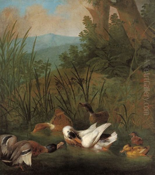 Wildenten In Einem Waldteich Oil Painting by Melchior de Hondecoeter