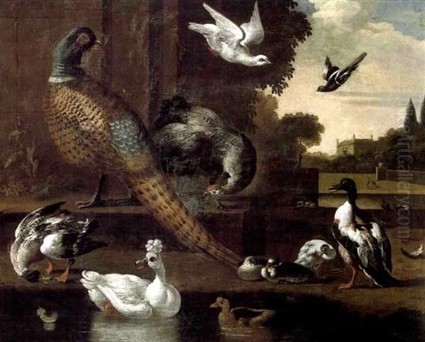 Faison, Dindon, Canards Et Pigeon Le Long D'un Etang De Chateau Oil Painting by Melchior de Hondecoeter