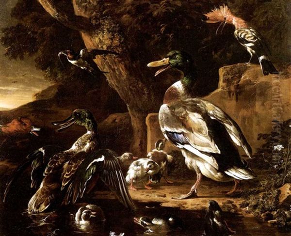 Enten Und Ein Wiedehopf Oil Painting by Melchior de Hondecoeter