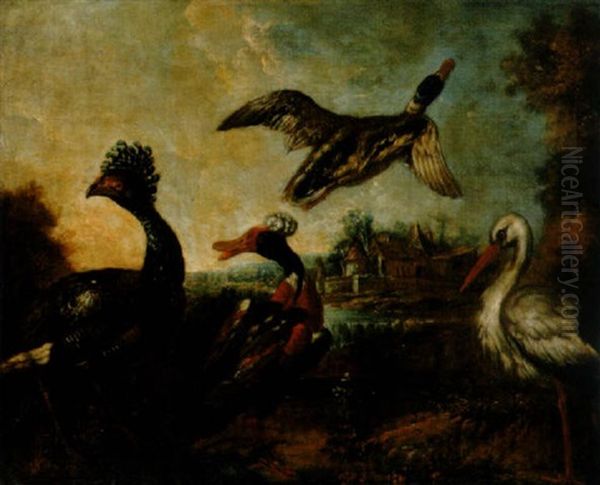 Une Dinde, Deux Canards Et Une Cigogne Au Bord D'un Etang Oil Painting by Melchior de Hondecoeter