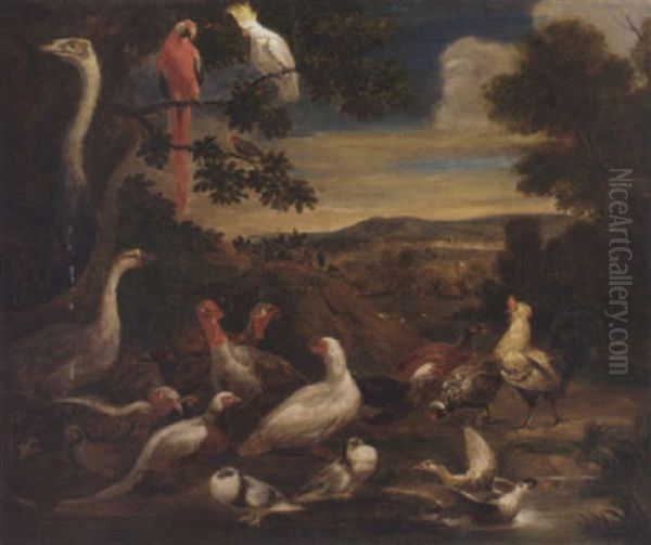 An Ostrich, Parrots, Turkeys, Cockerels, A Pheasant And Other Birds In A Wooded Landscape By Apond Oil Painting by Melchior de Hondecoeter