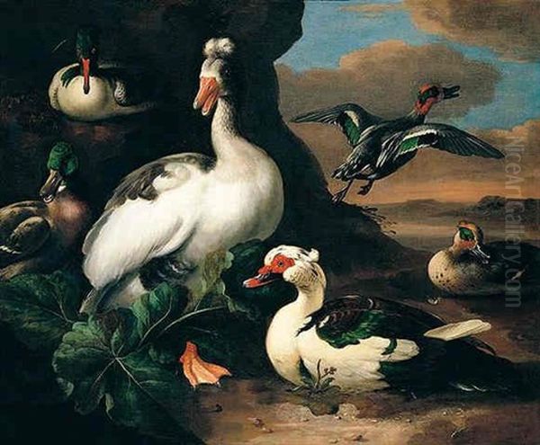 A River Landscape With A Brown Goose, Muscovy, Teal, Mallard And Other Fowl Oil Painting by Melchior de Hondecoeter